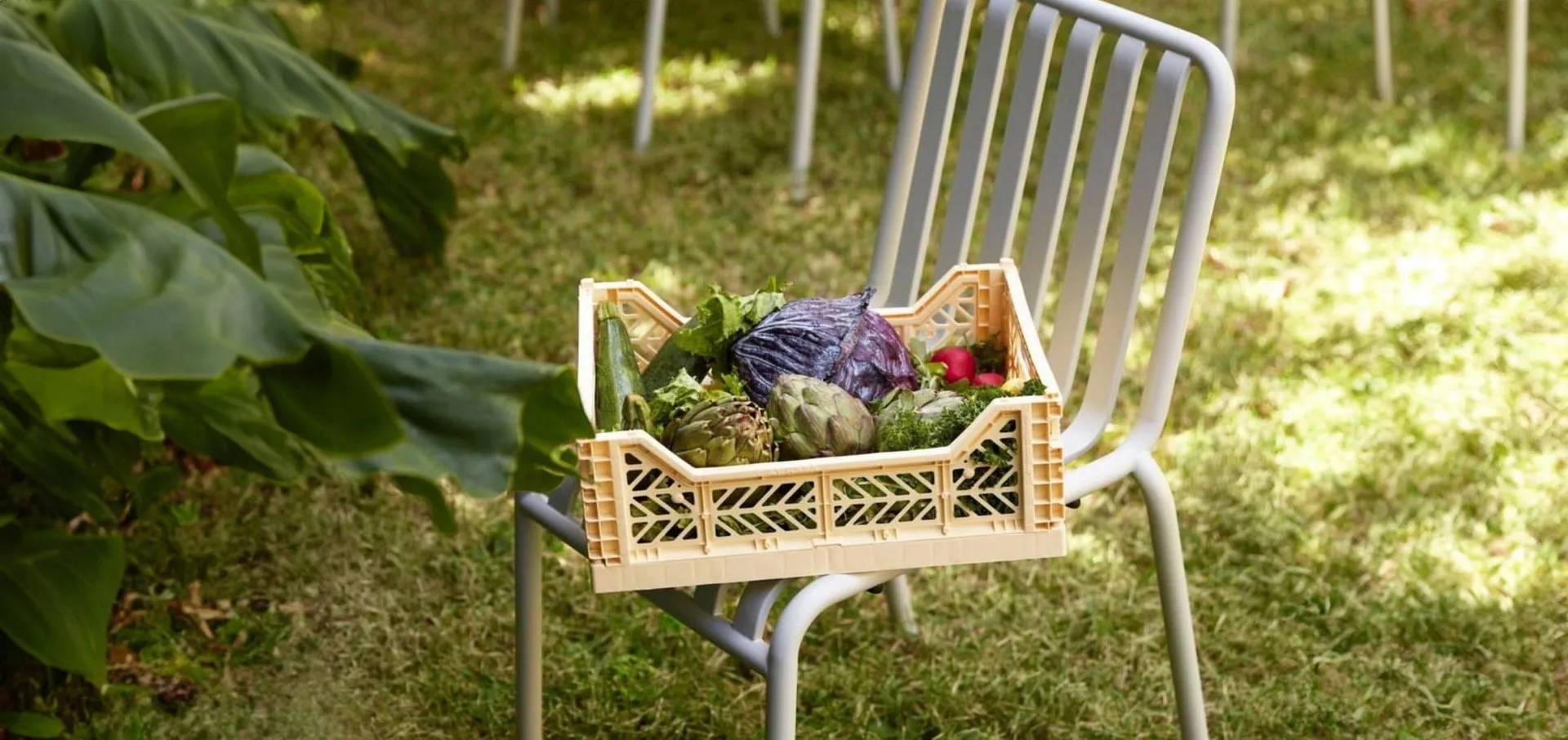 Aykasa para frutas y verduras